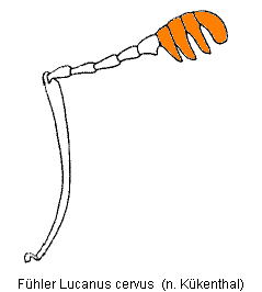 abb018.gif