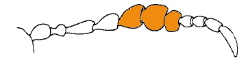 abb027.gif