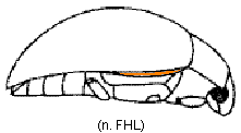 abb047.gif