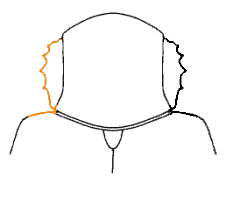 abb096.gif
