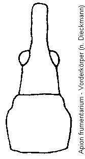 apion_frumentarium_vk.gif