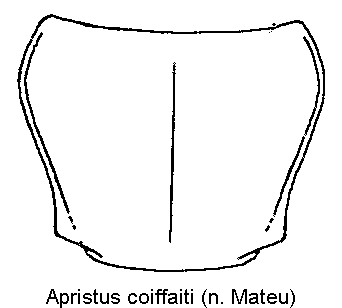 apristus_coiffaiti_hsch.gif