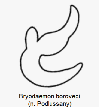 bryodaemon_boroveci_sperm.gif