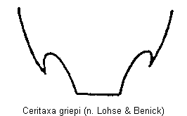 ceritaxa_griepi_ter.gif