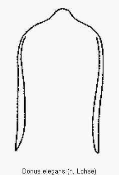 donus_elegans.gif
