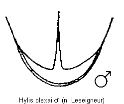 hylis_olexai_hlb.gif