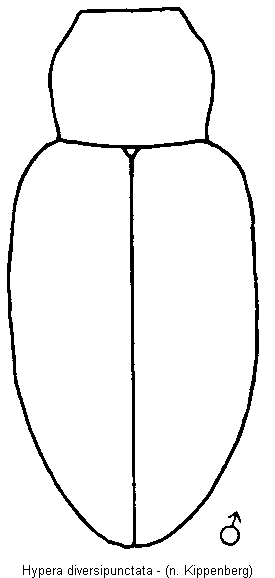 hypera_diversipunctata_hab.gif