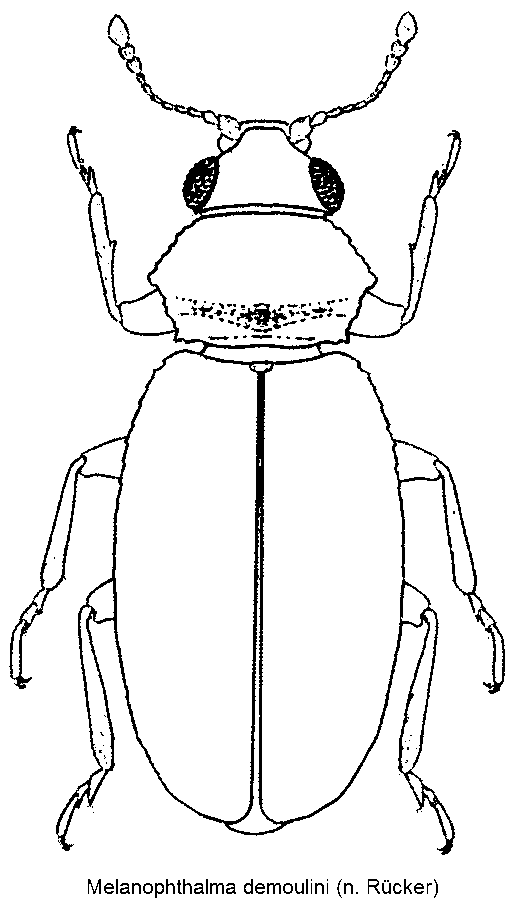 melanophthalma_demoulini_hab.gif