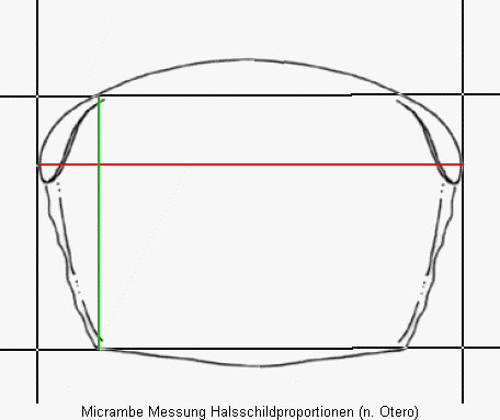 micrambe_messung.gif