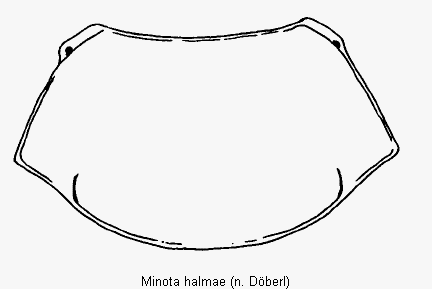 minota_halmae_hsch.gif