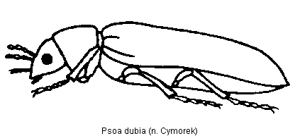 psoa_dubia_hab.gif