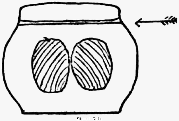 sitona_ii_vbr.gif