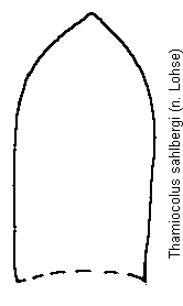 thamiocolus_sahlbergi.gif