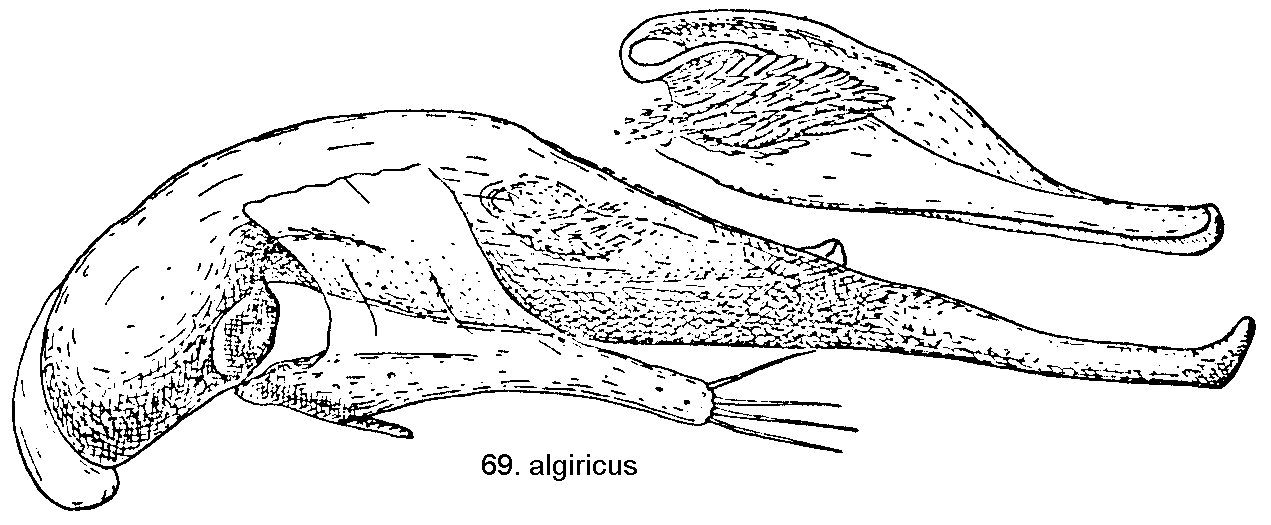 tre69.gif
