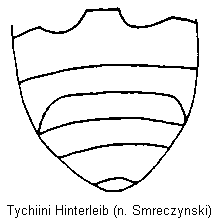 tychiini_hinterleib.gif