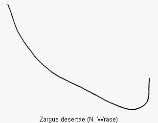 zargus_desertae_nahtwi.gif
